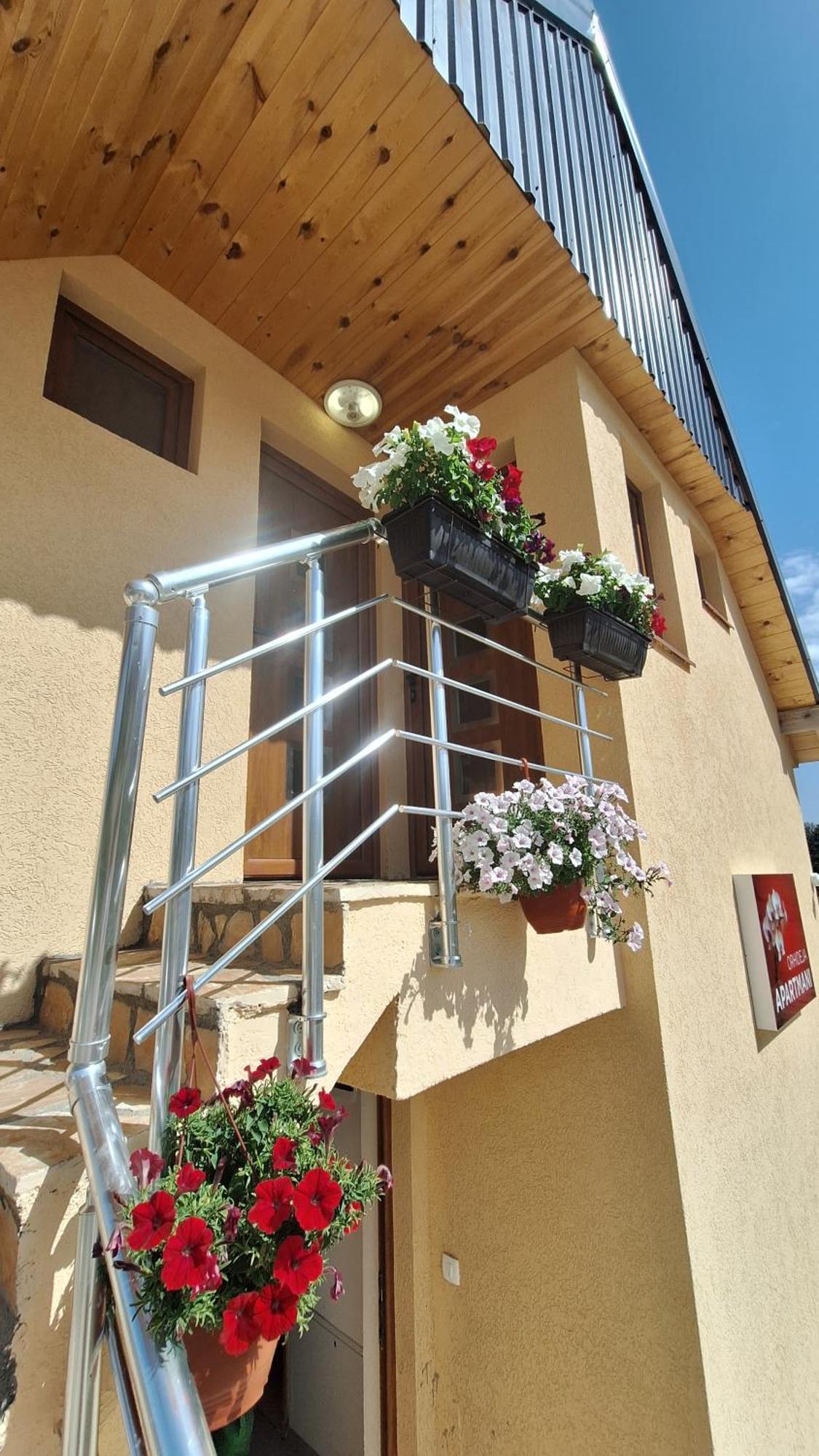 Apartments Orchidea Zabljak  Exterior photo